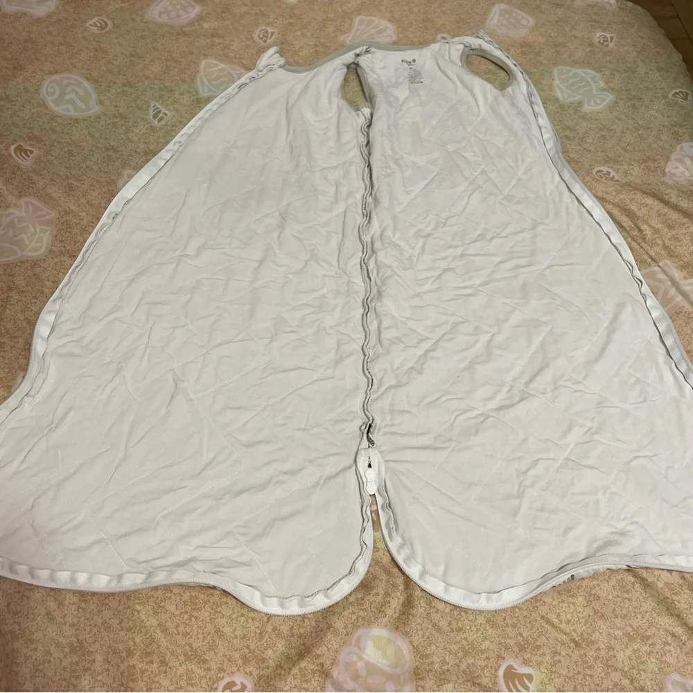 Kyte Baby Sleep Bag 1.0 TOG in Aloe Rainbow Size Medium